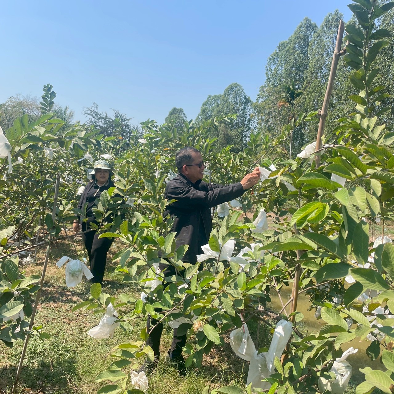 title - ประชุมตรวจติดตามความก้าวหน้าผลการดำเนินงานตามแผนการตรวจราชการ ประจำปีงบประมาณ พ.ศ. 2569 รอบที่ 1 เขตตรวจราชการที่ 2 ของสำนักงานการปฏิรูปที่ดินจังหวัดนครปฐม